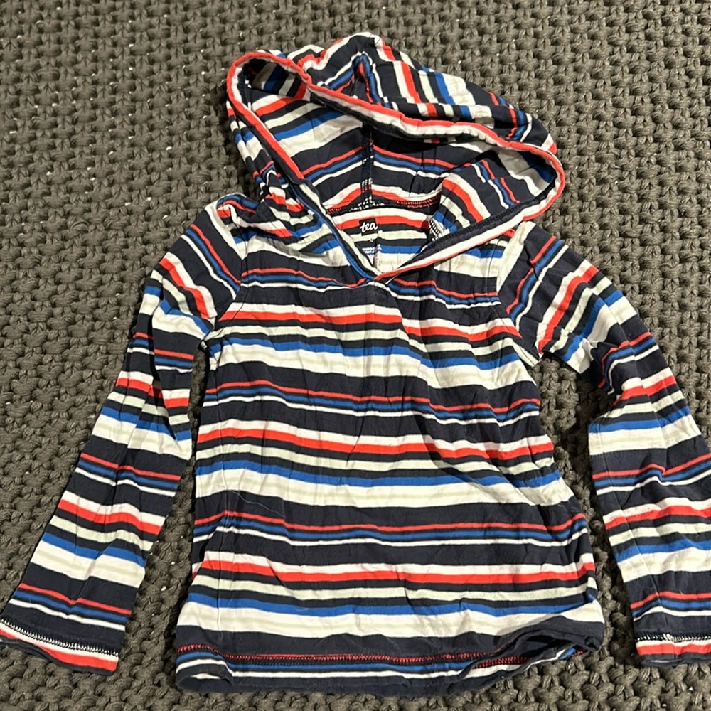 Tea collection organic little boys 4t long sleeve hoodie